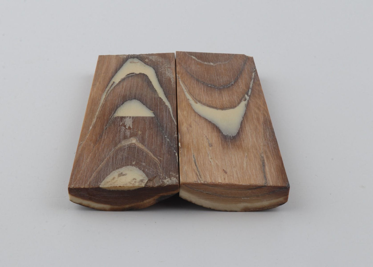 Stabilized mammoth bark scales