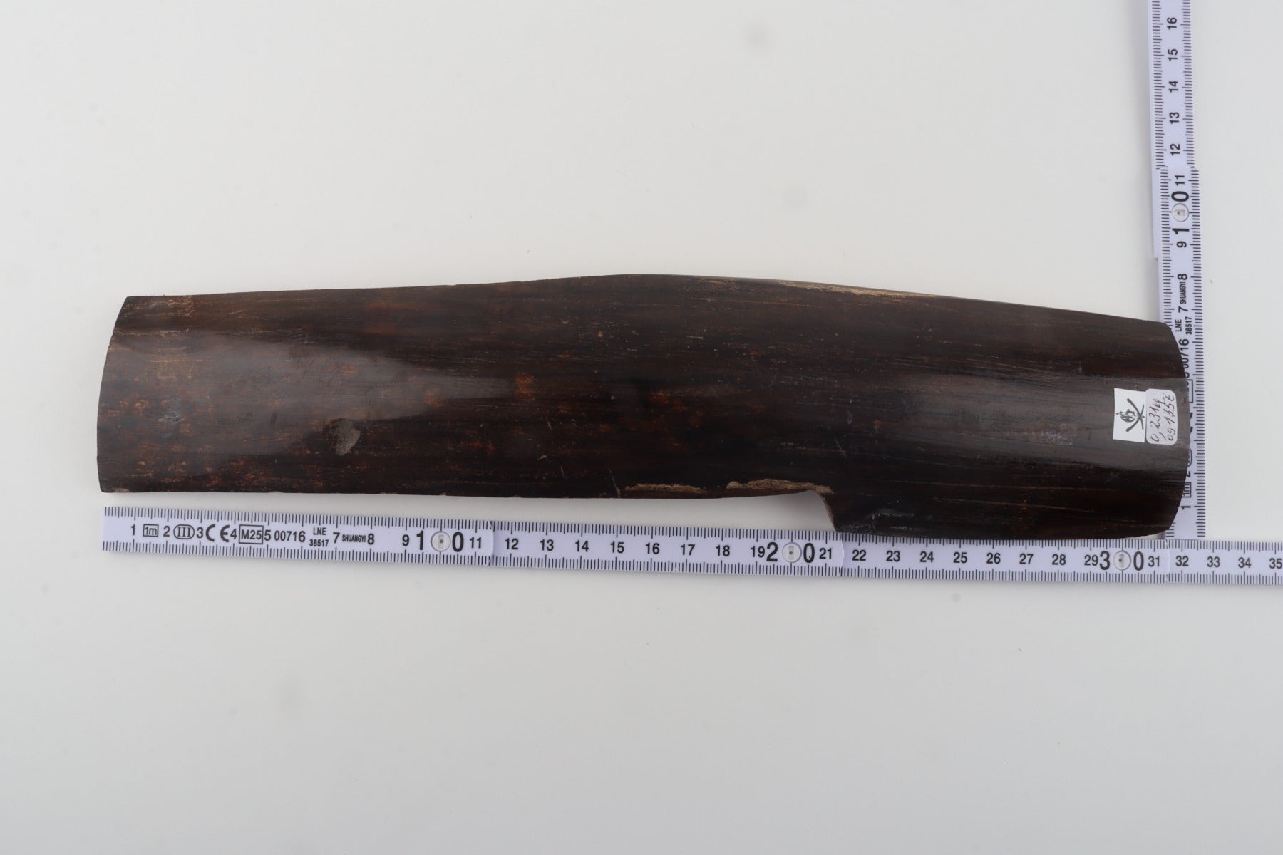 Brown mammoth bark