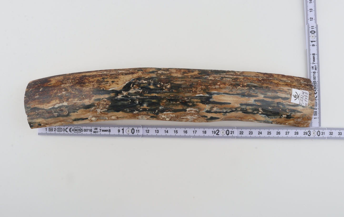 Natural woolly mammoth bark