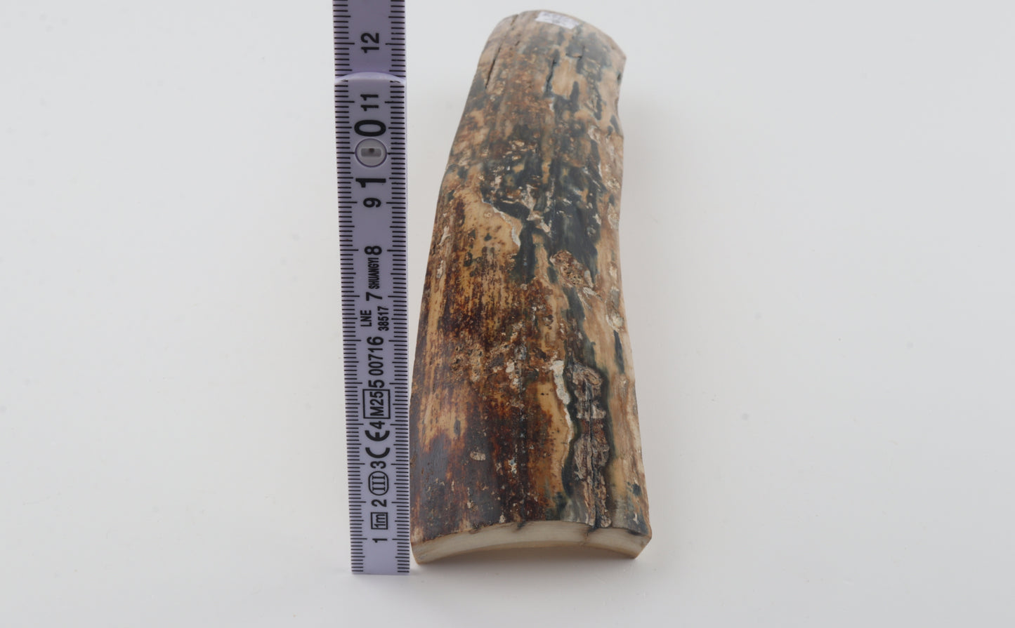 Natural woolly mammoth bark