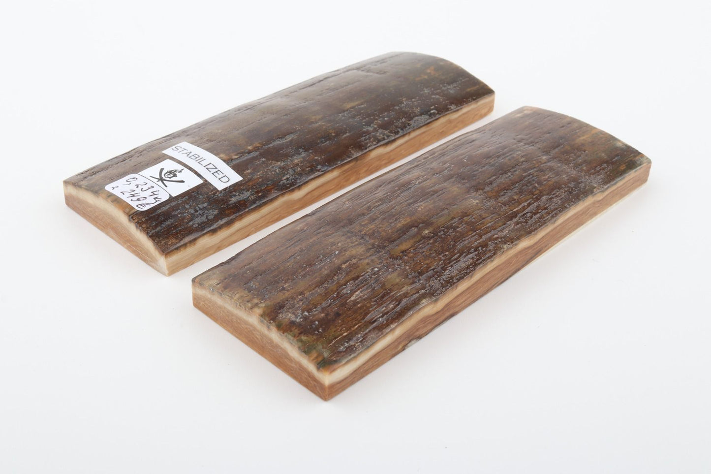 Stabilised mammoth bark scales