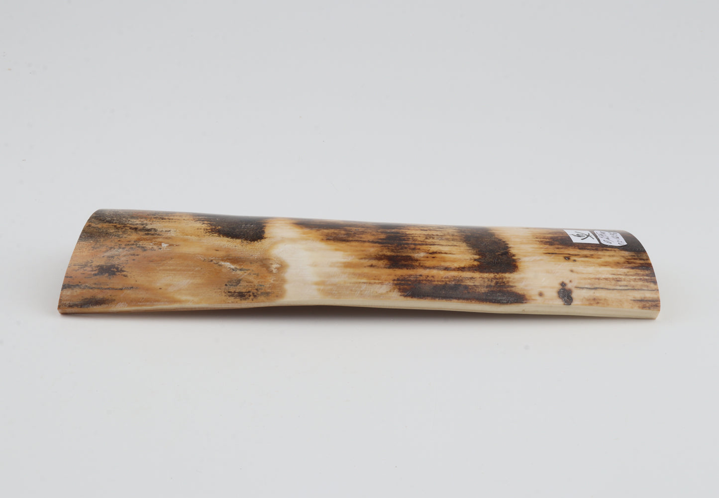 Orange-brown mammoth bark