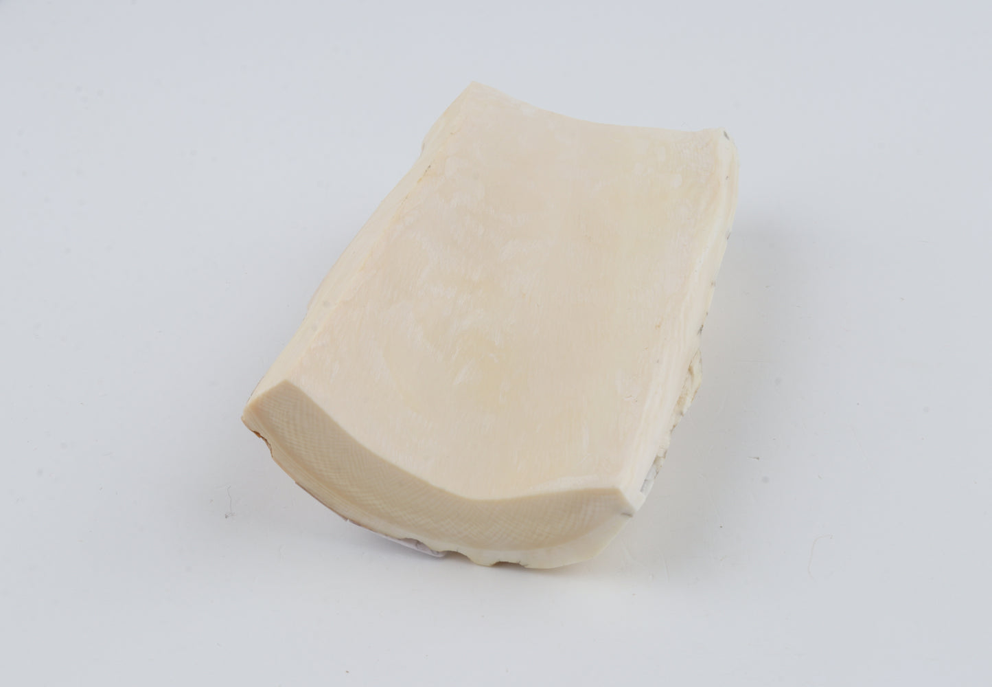 Natural mammoth ivory piece
