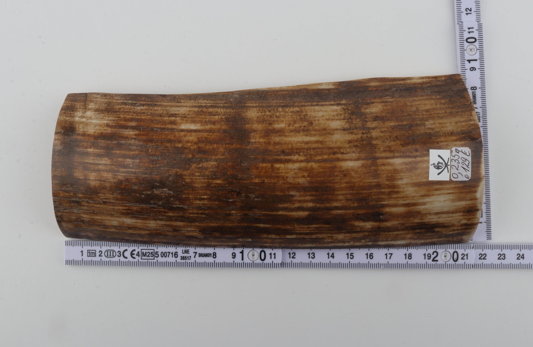 Orange-brown mammoth bark