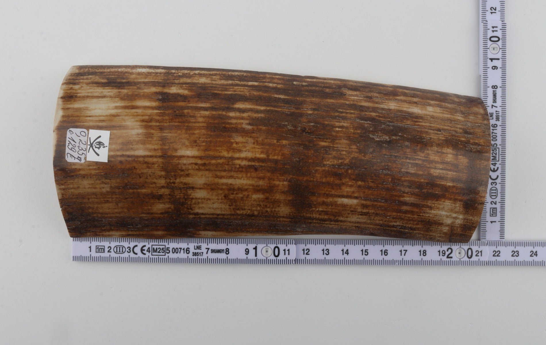 Orange-brown mammoth bark