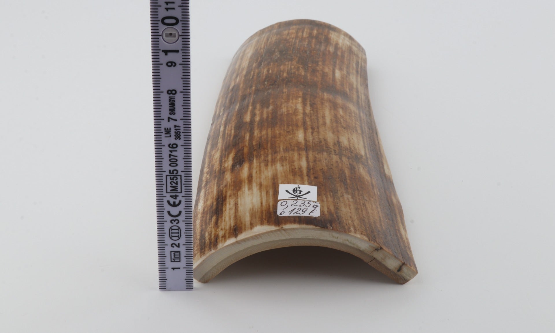 Orange-brown mammoth bark