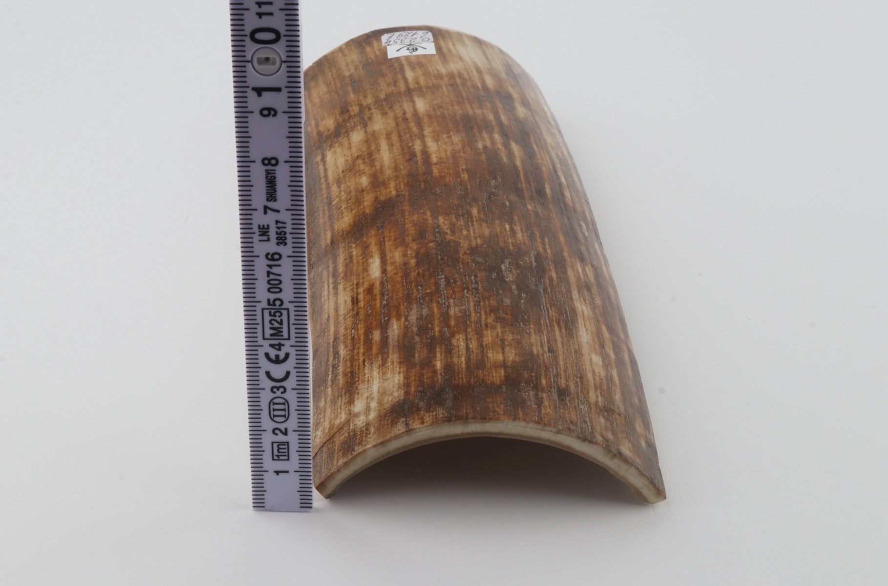 Orange-brown mammoth bark