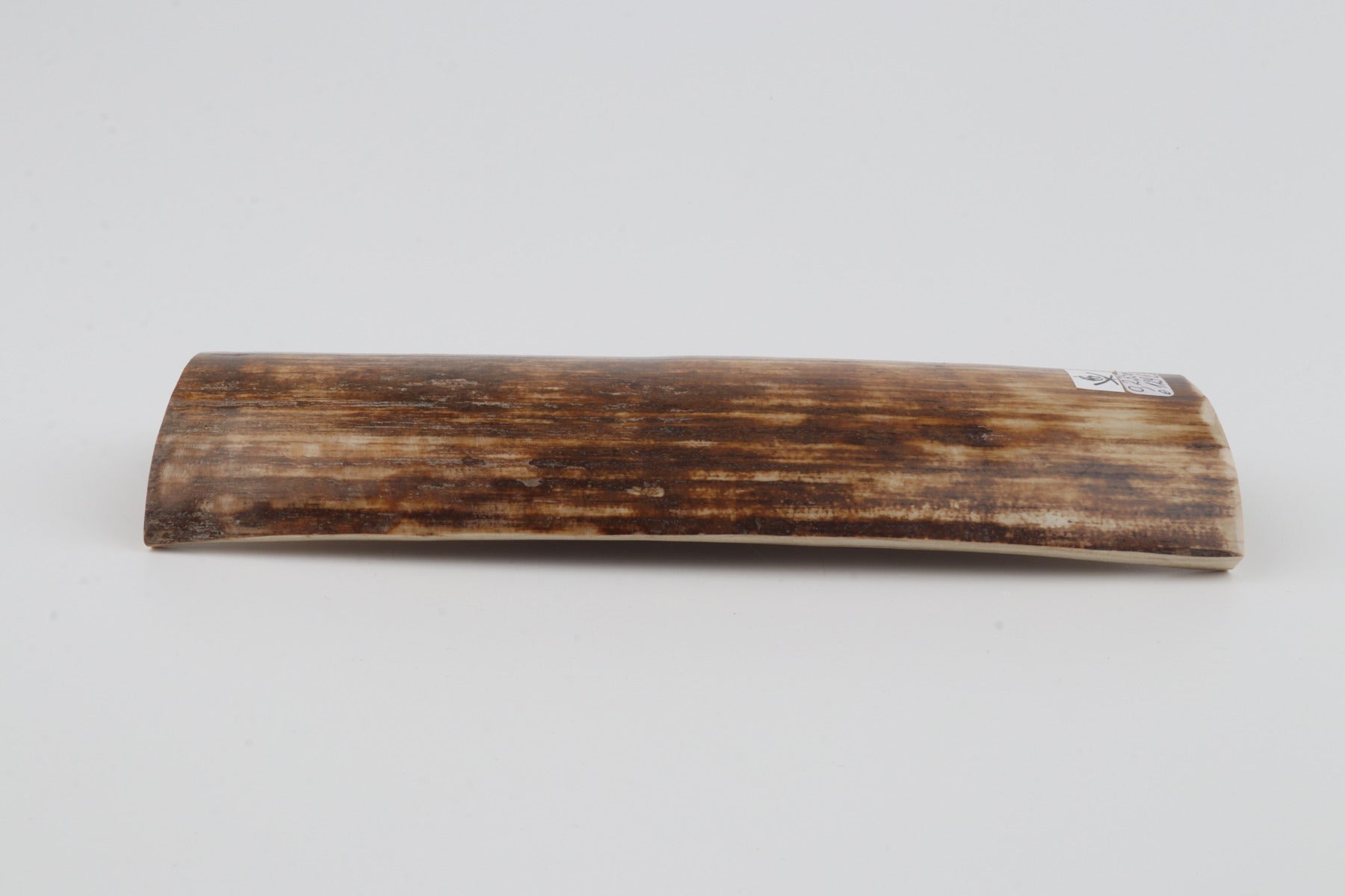 Orange-brown mammoth bark