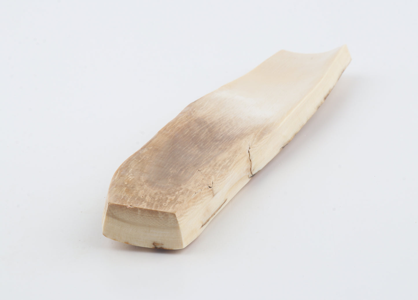 White-orange mammoth bark