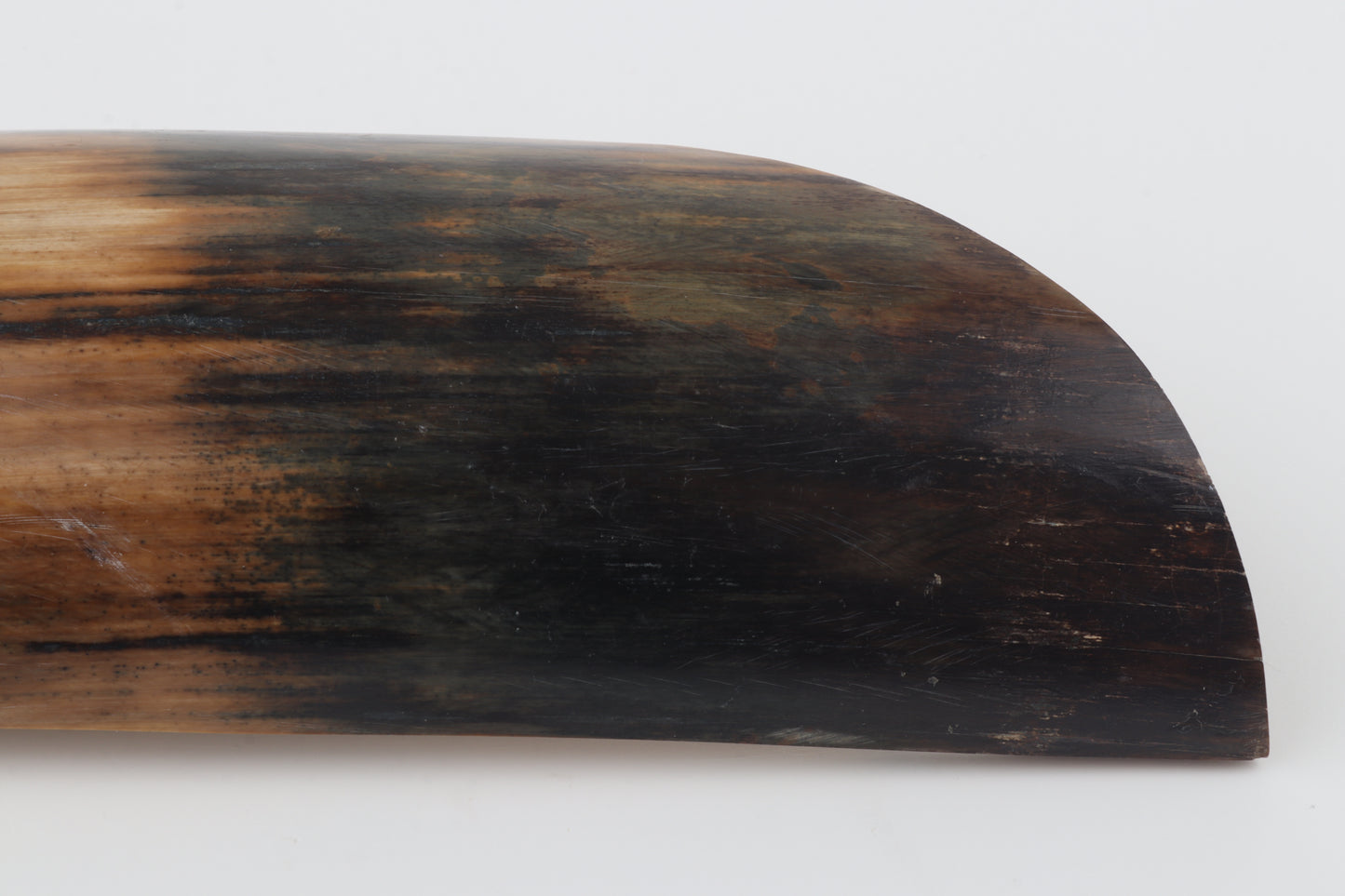 Natural woolly mammoth bark