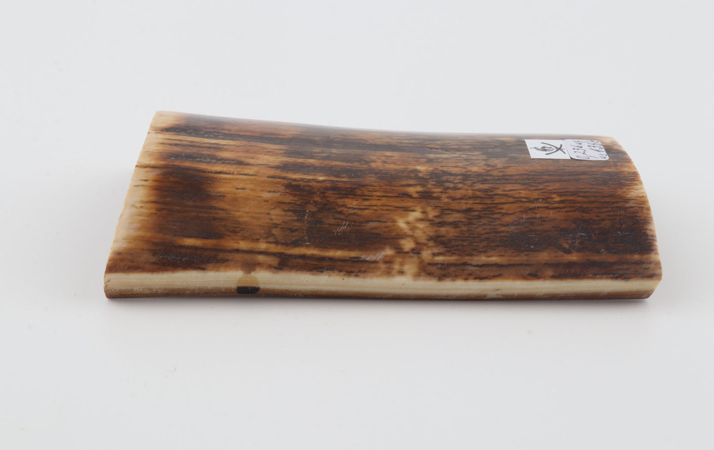 Brown-orange mammoth bark