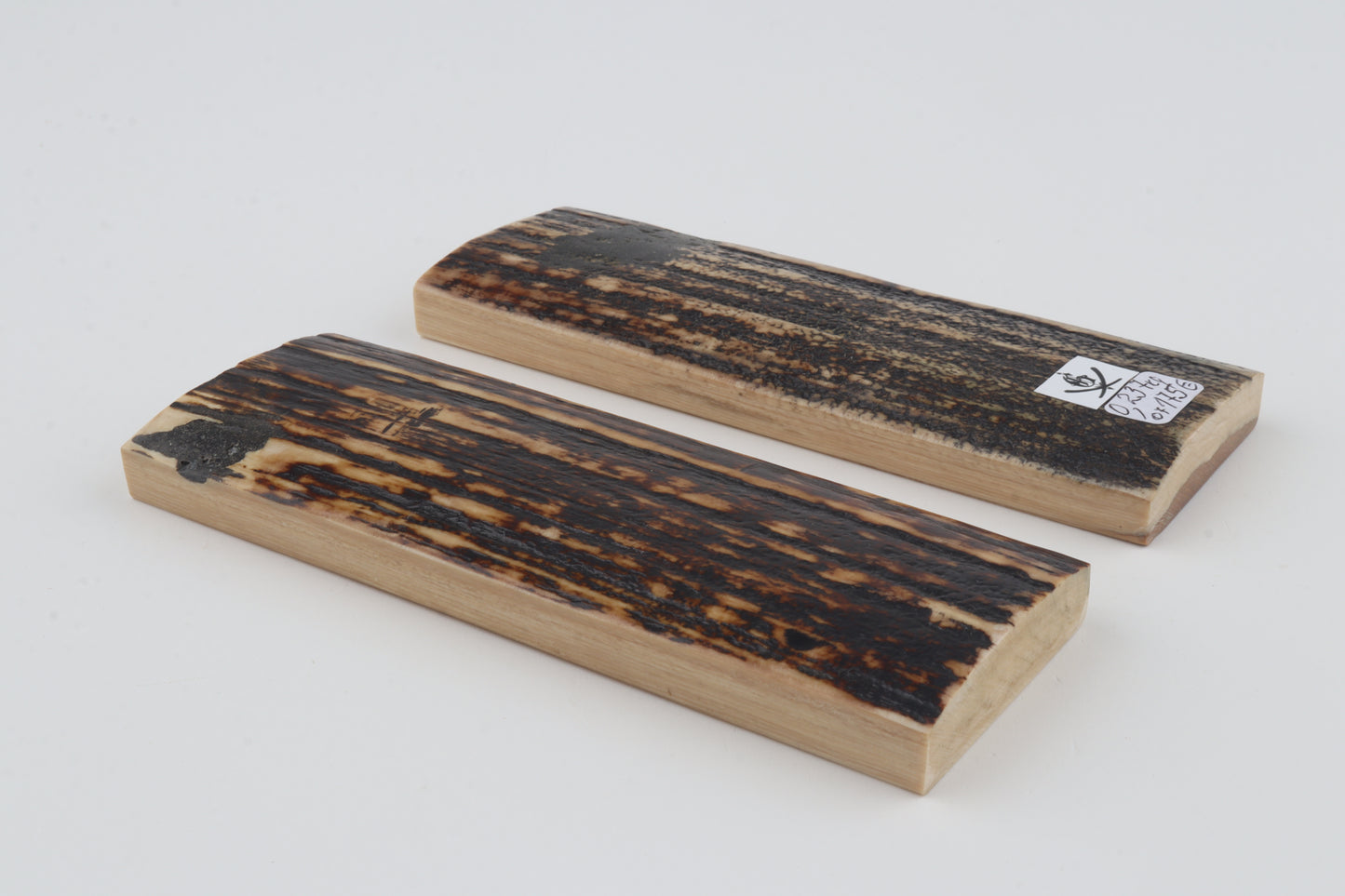 Natural mammoth bark scales