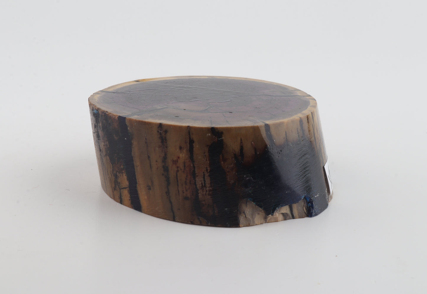 Stabilized mammoth ivory piece