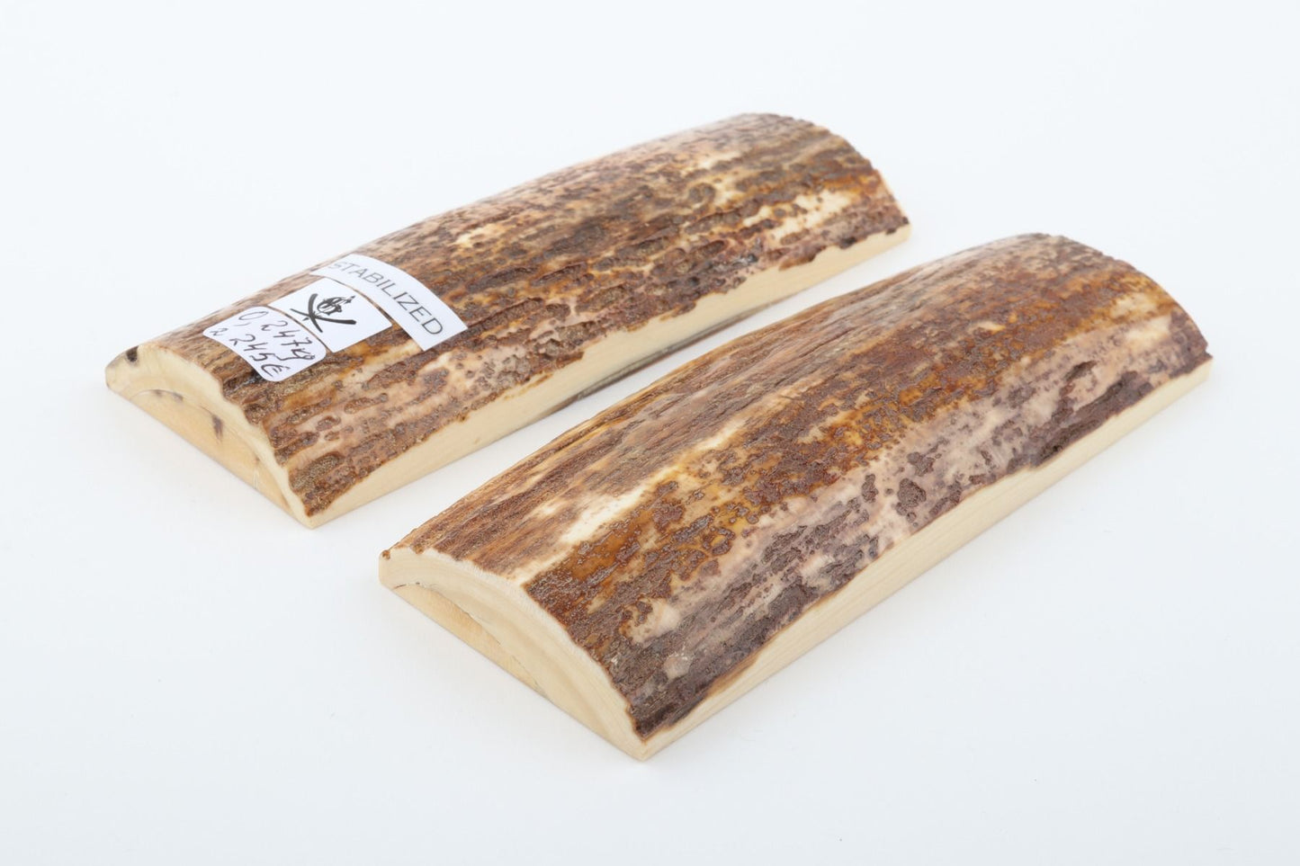 Stabilized mammoth bark scales