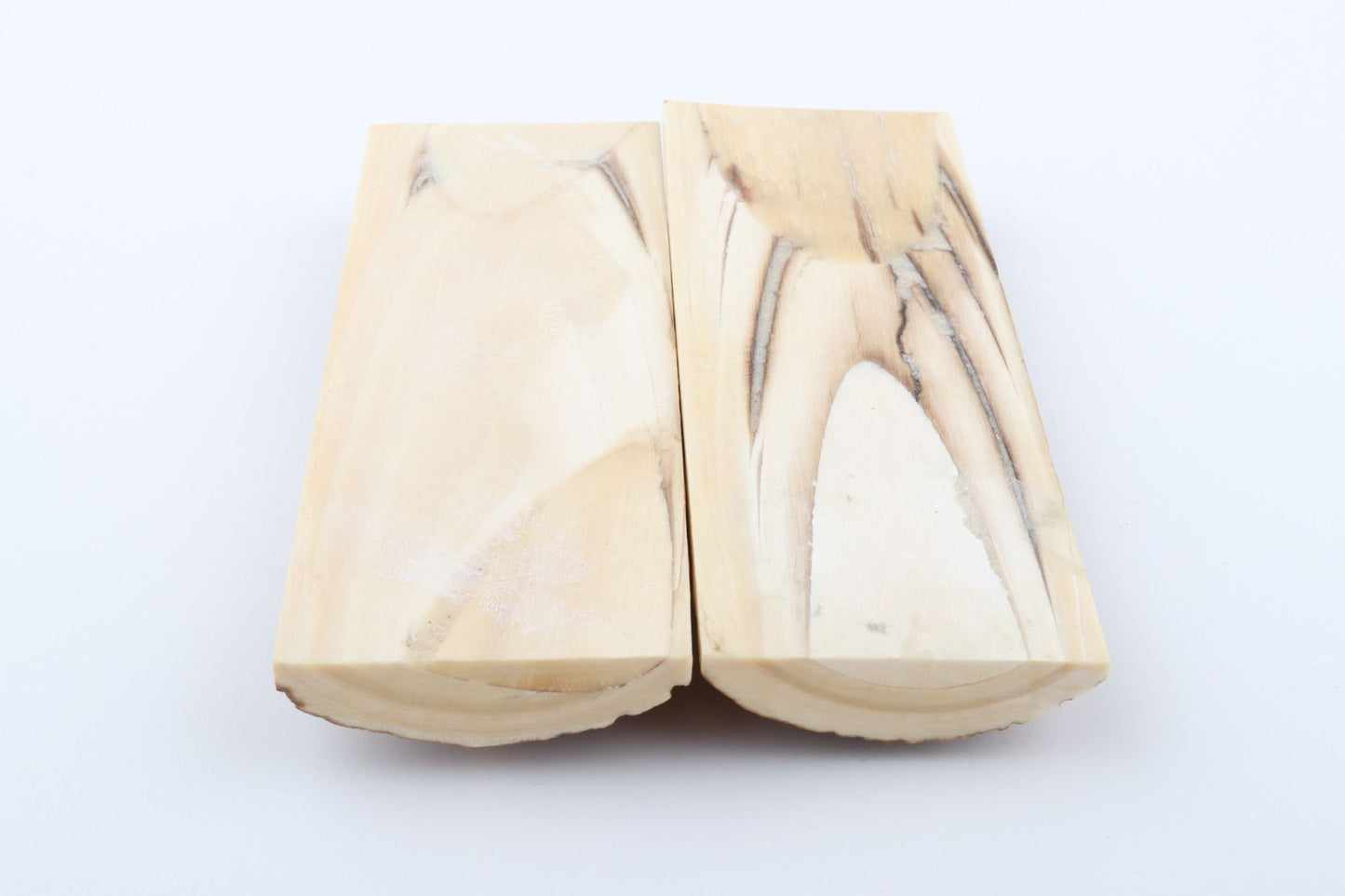 Stabilized mammoth bark scales