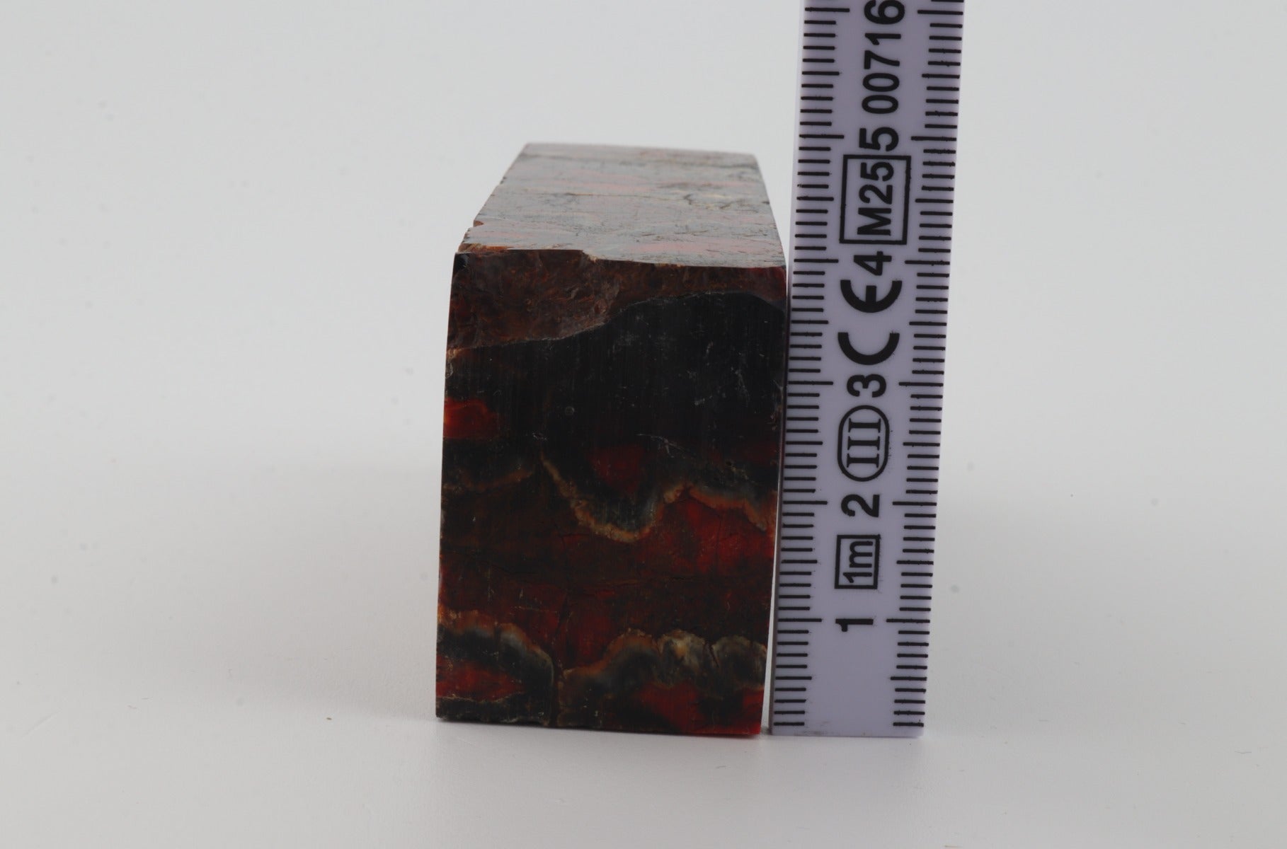 Stabilized mammoth molar block
