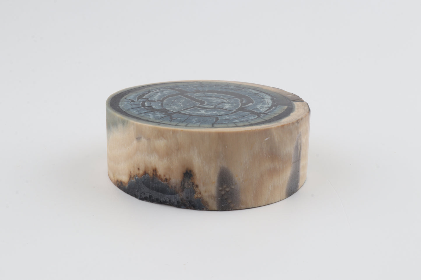 Stabilized mammoth ivory block