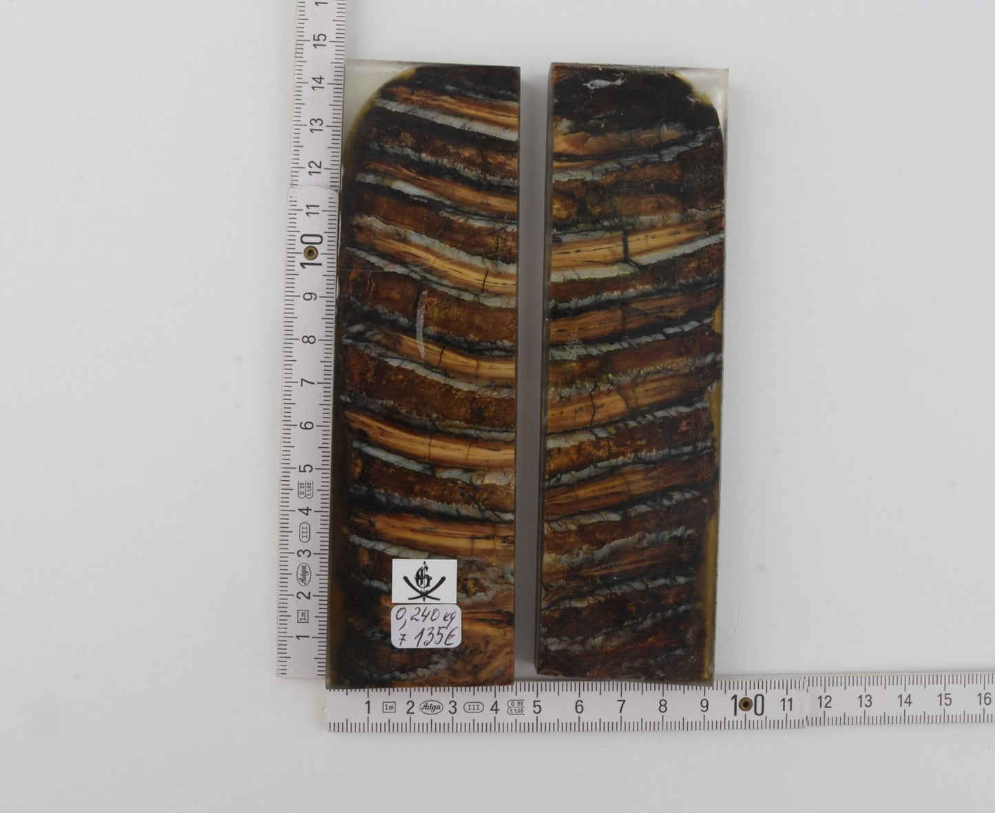 Stabilized mammoth molar scales