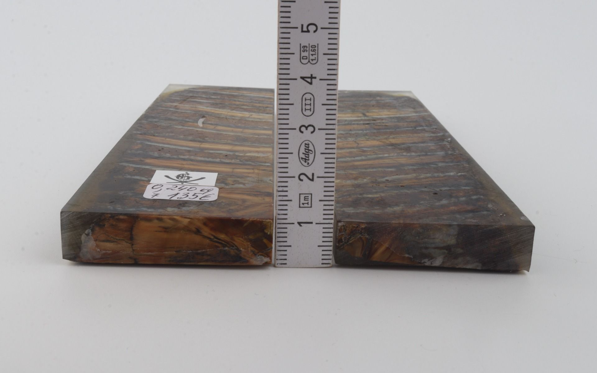 Stabilized mammoth molar scales