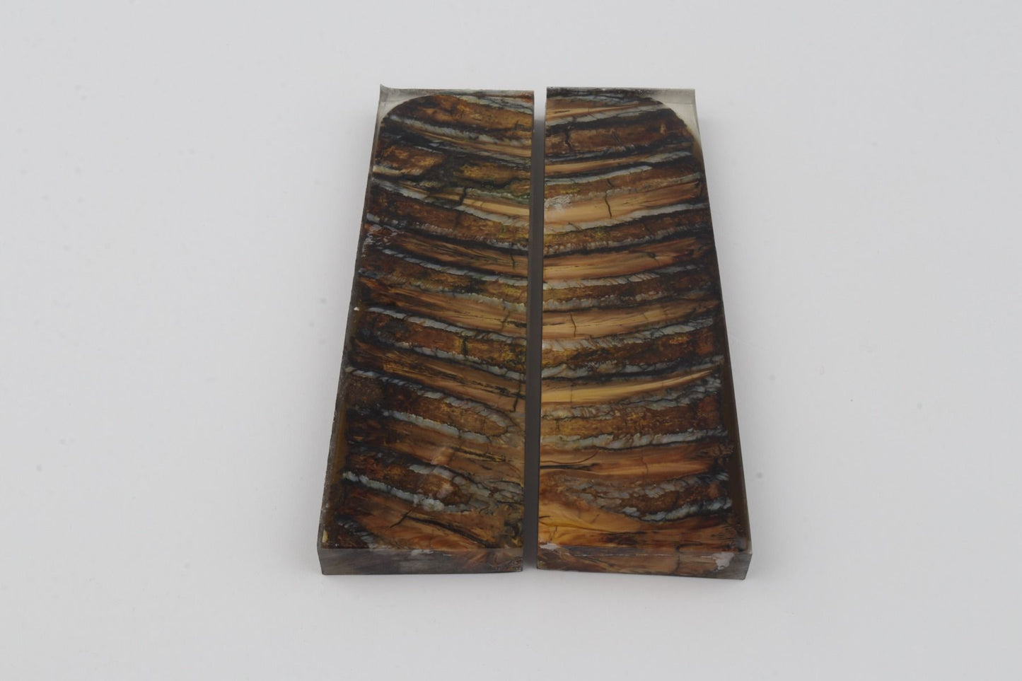 Stabilized mammoth molar scales