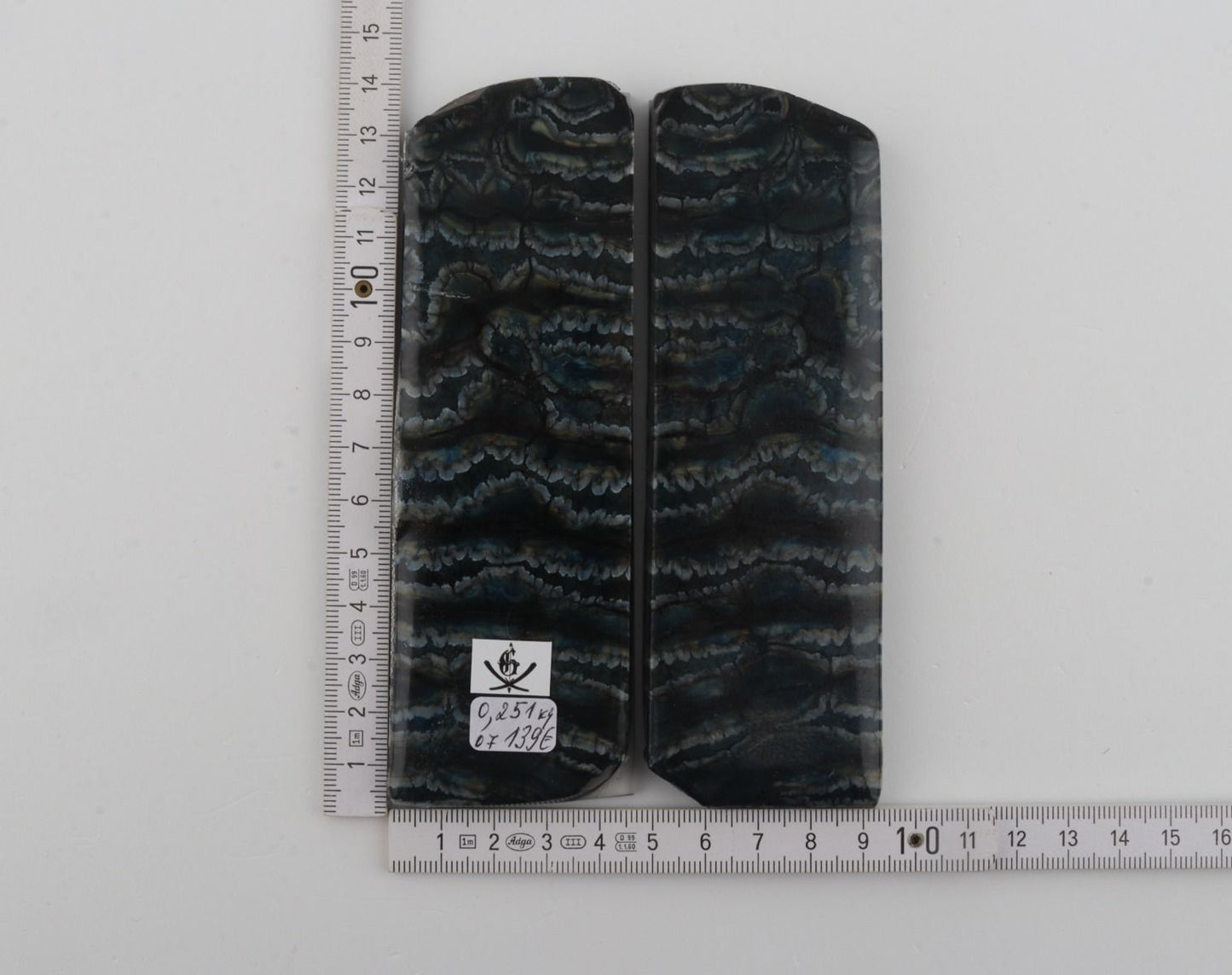 Stabilized mammoth molar scales