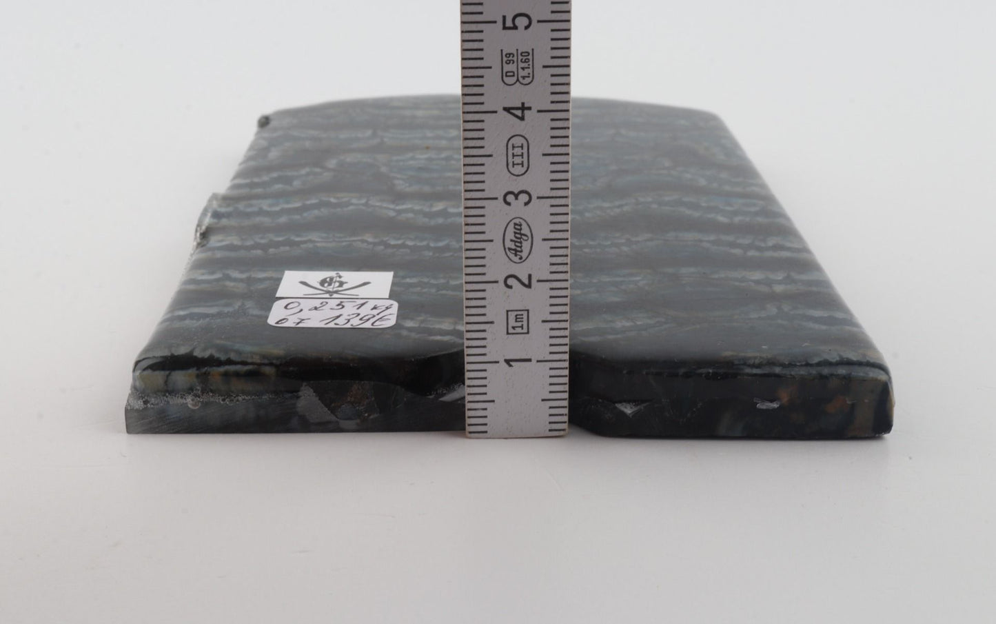 Stabilized mammoth molar scales