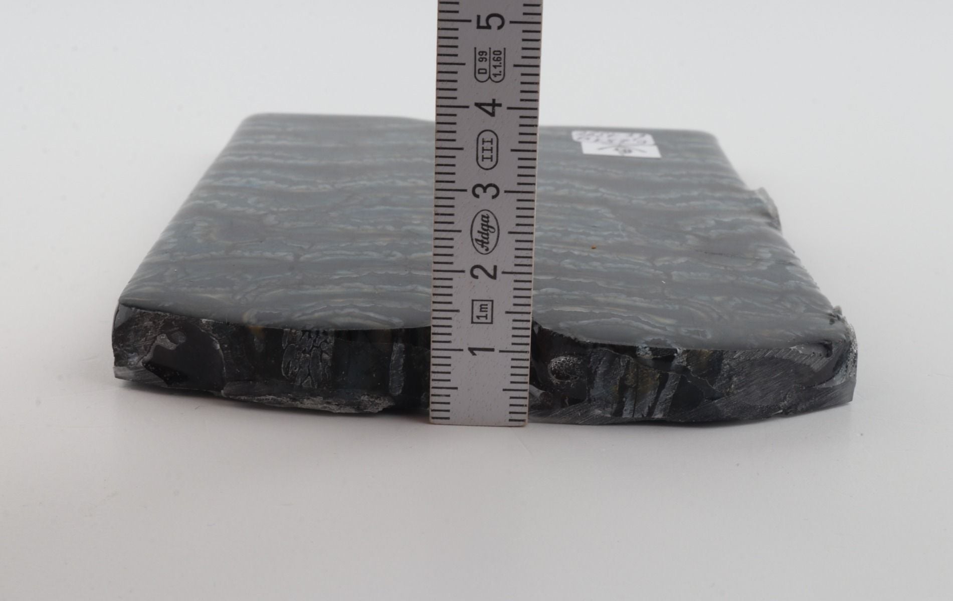 Stabilized mammoth molar scales