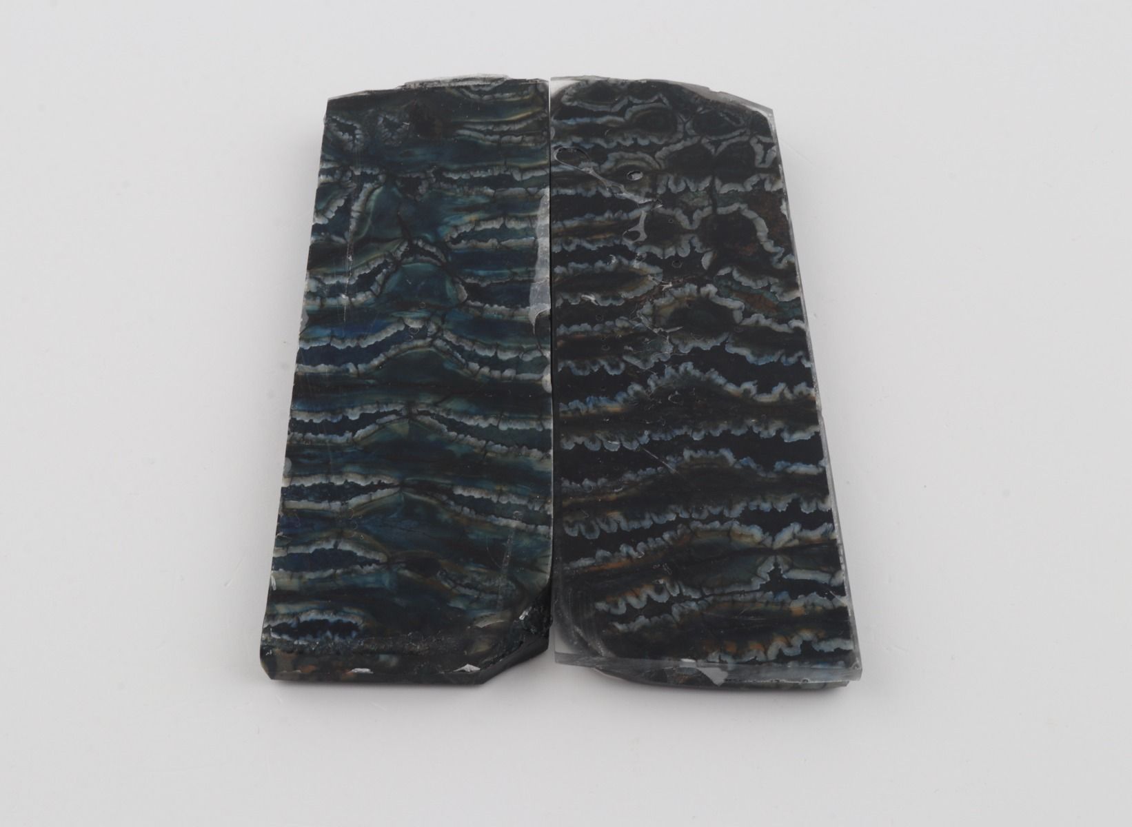 Stabilized mammoth molar scales