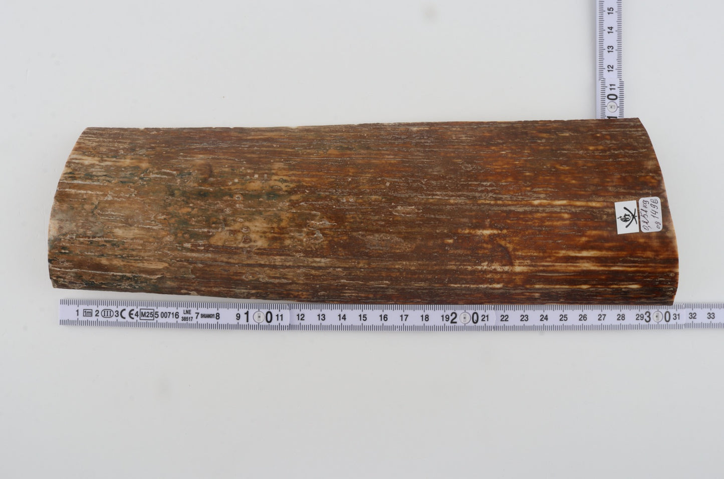 Brown-orange mammoth bark