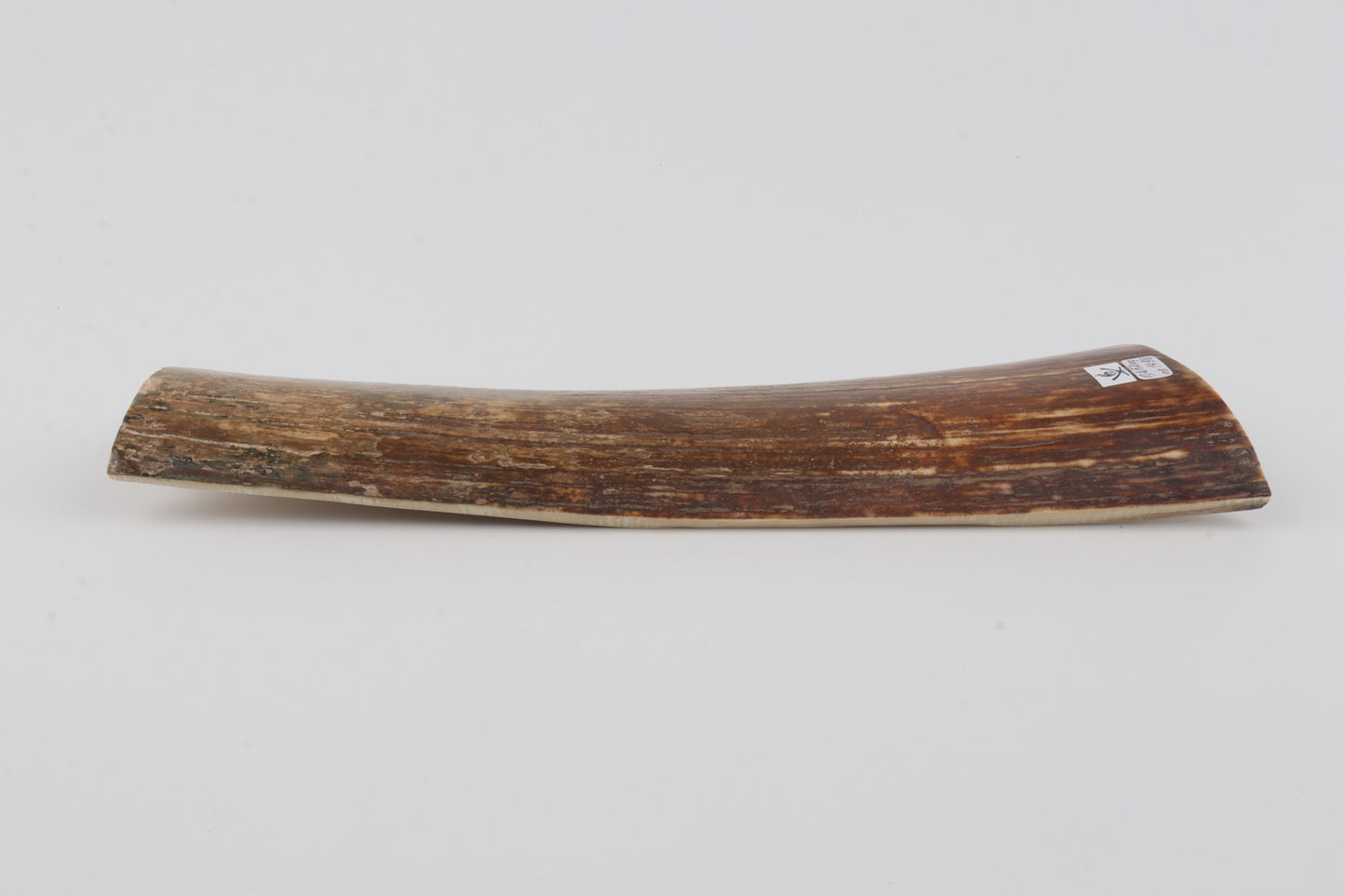 Brown-orange mammoth bark