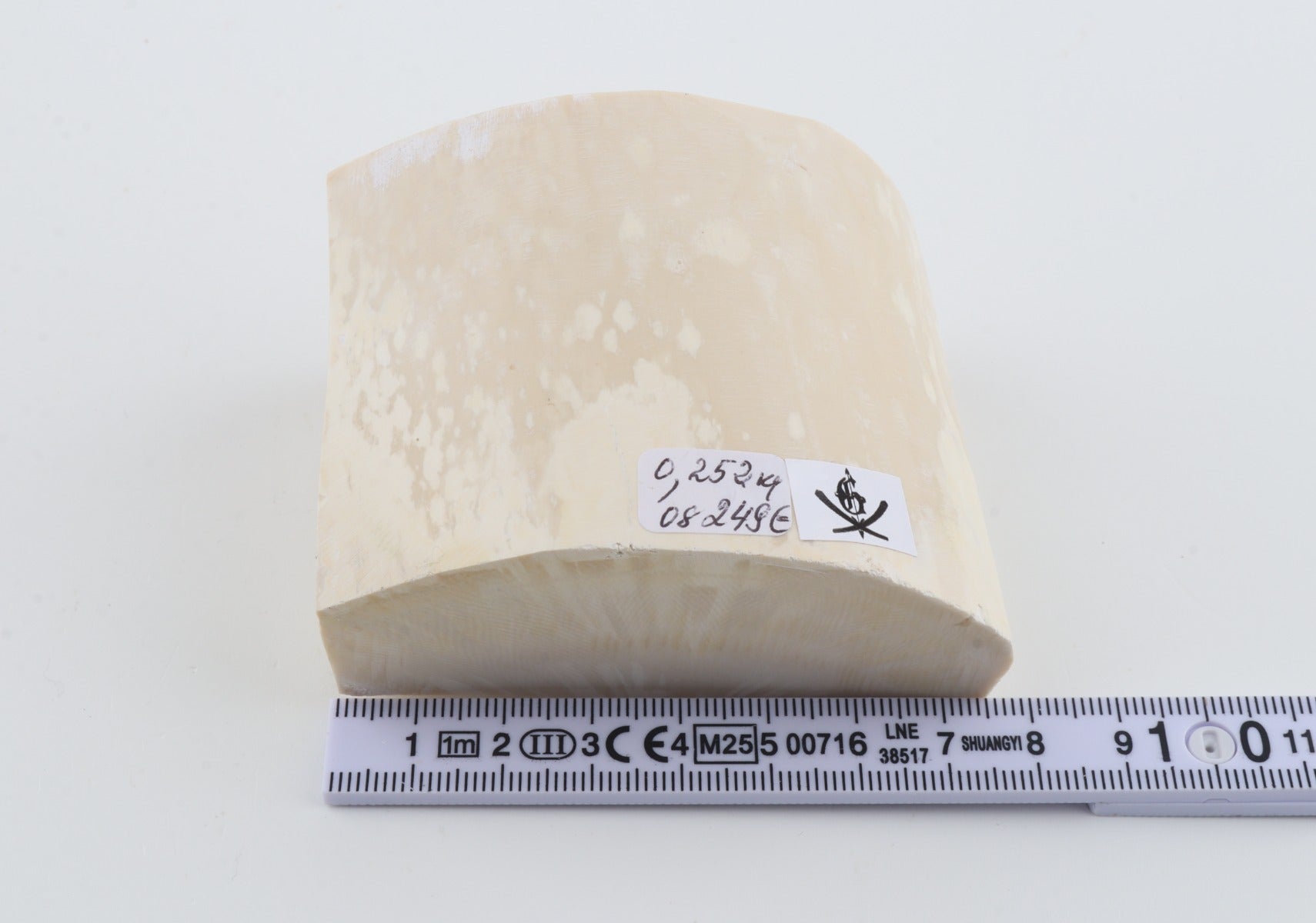 White mammoth ivory segment