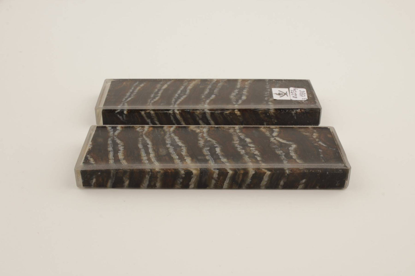 Stabilised mammoth molar scales