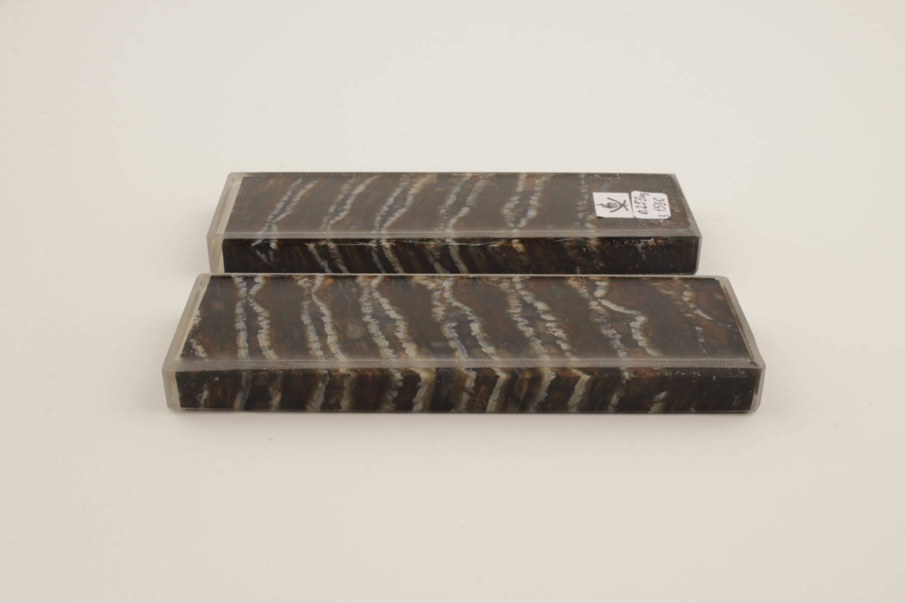 Stabilised mammoth molar scales