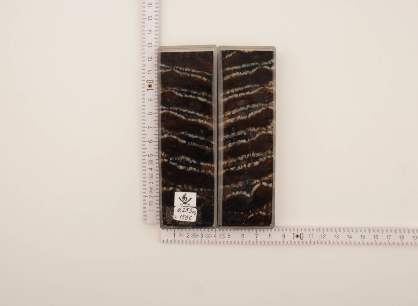 Stabilised mammoth molar scales