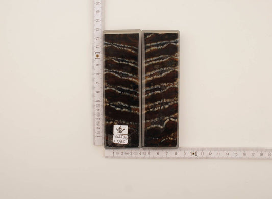 Stabilised mammoth molar scales