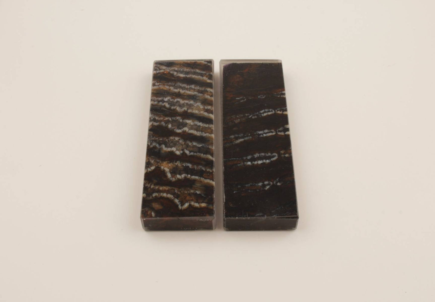 Stabilised mammoth molar scales