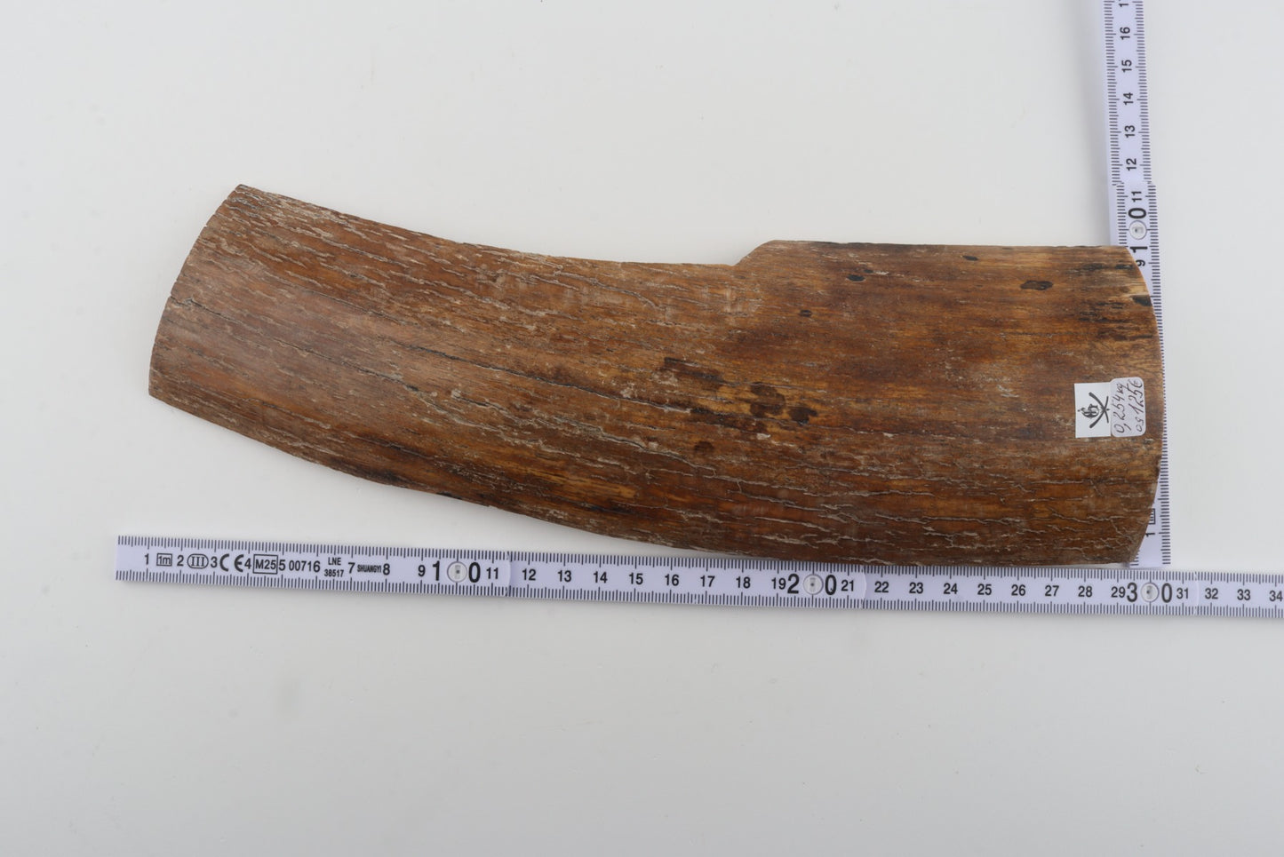 Beige mammoth bark
