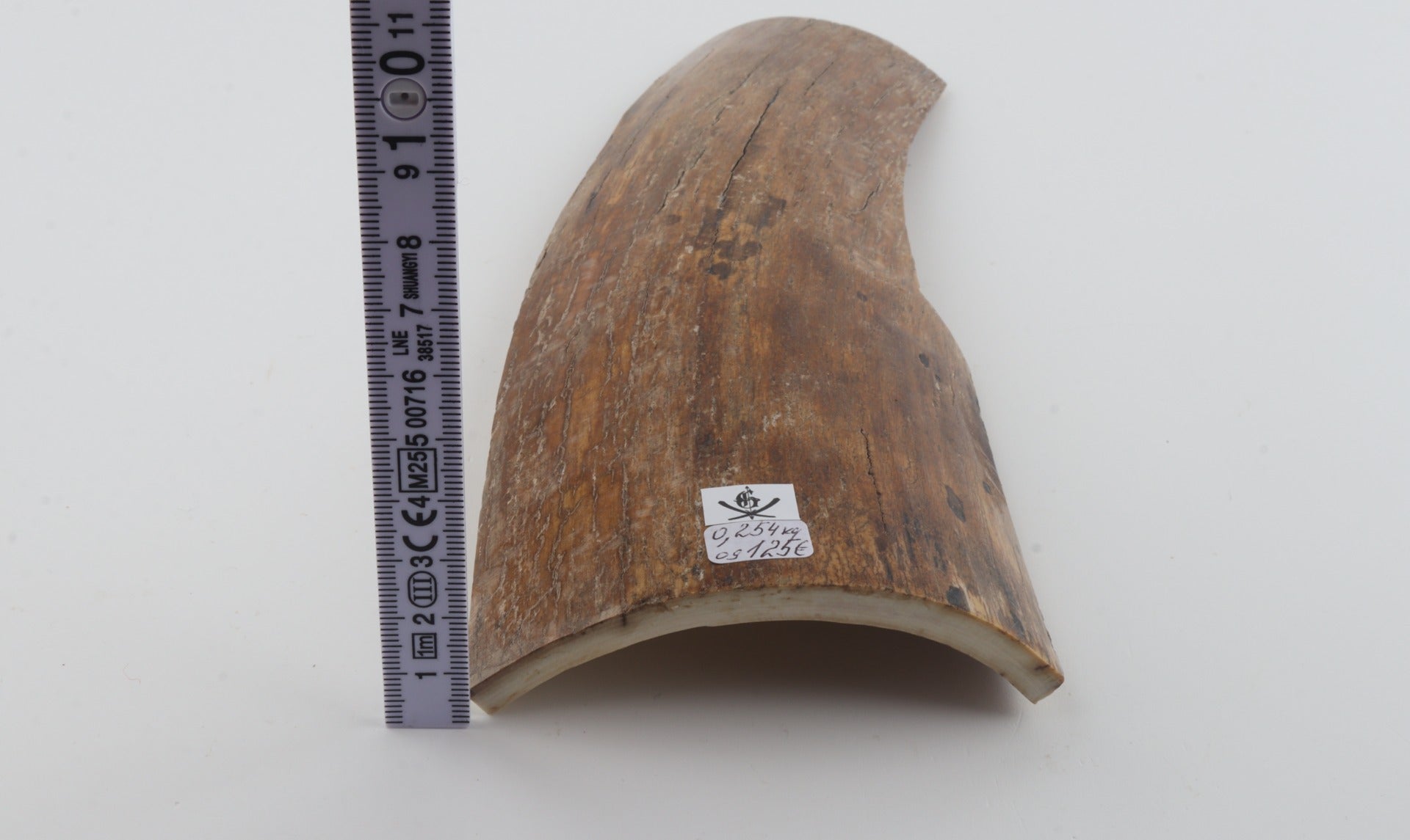 Beige mammoth bark