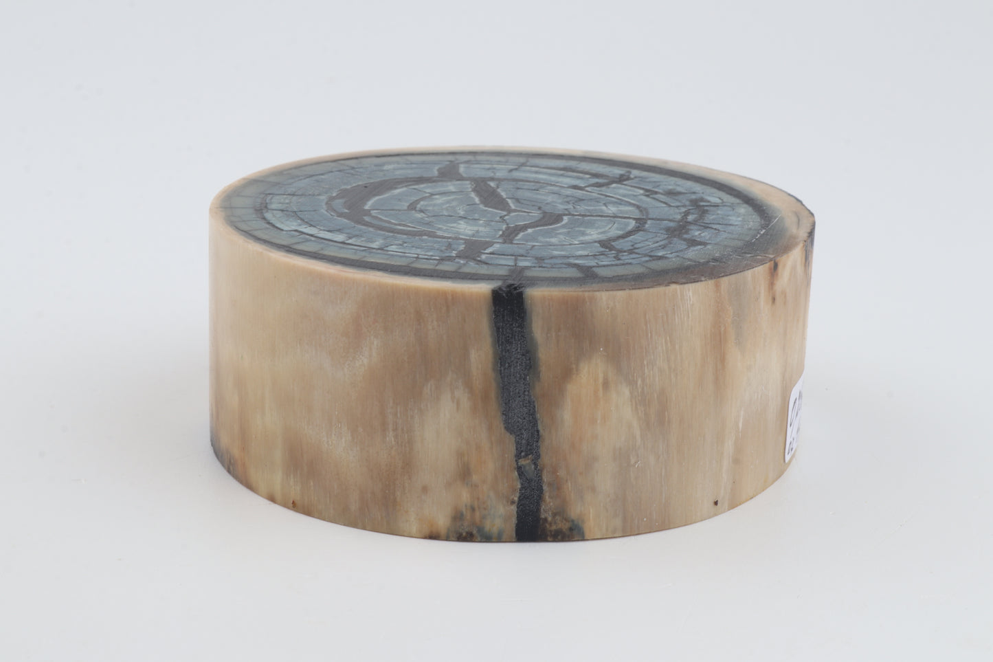 Stabilized mammoth ivory block