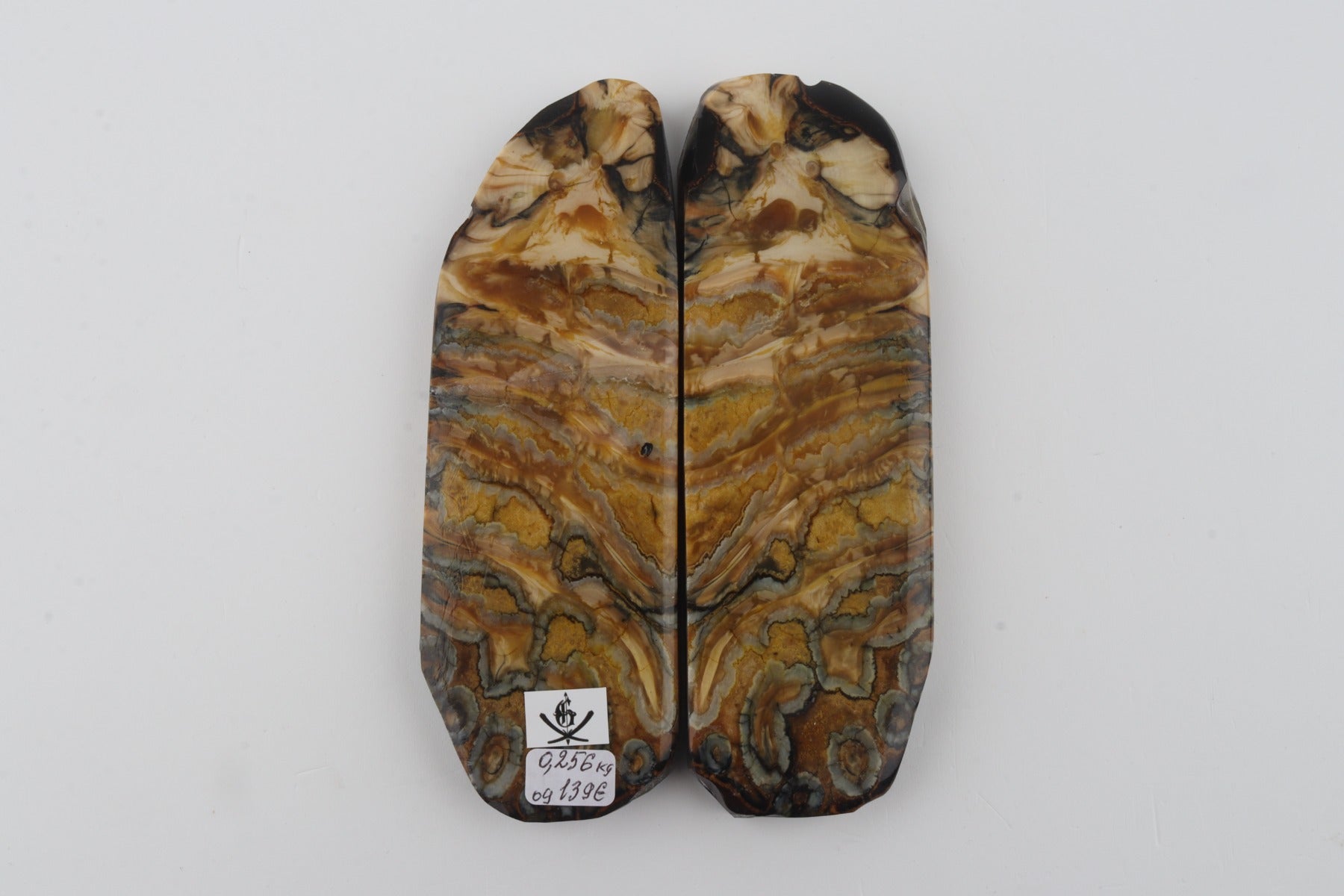 Stabilized mammoth molar scales