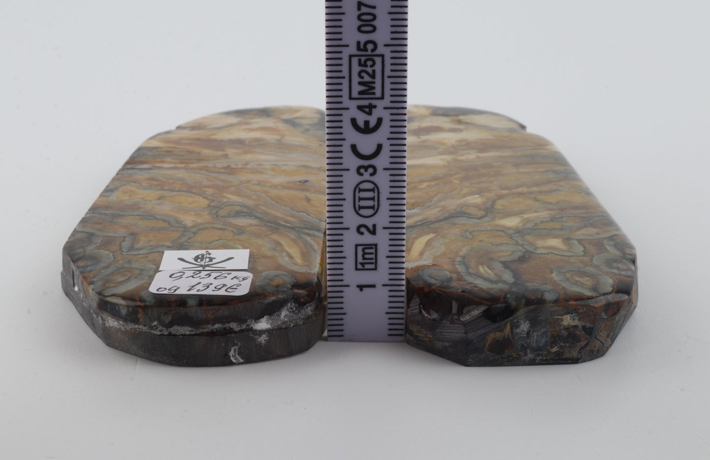 Stabilized mammoth molar scales