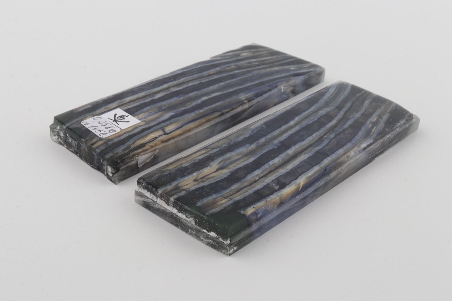 Stabilized mammoth molar scales