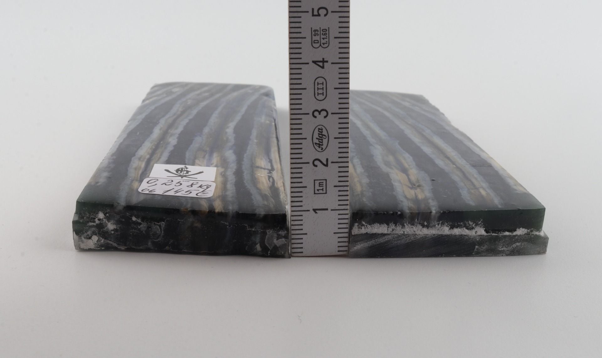 Stabilized mammoth molar scales