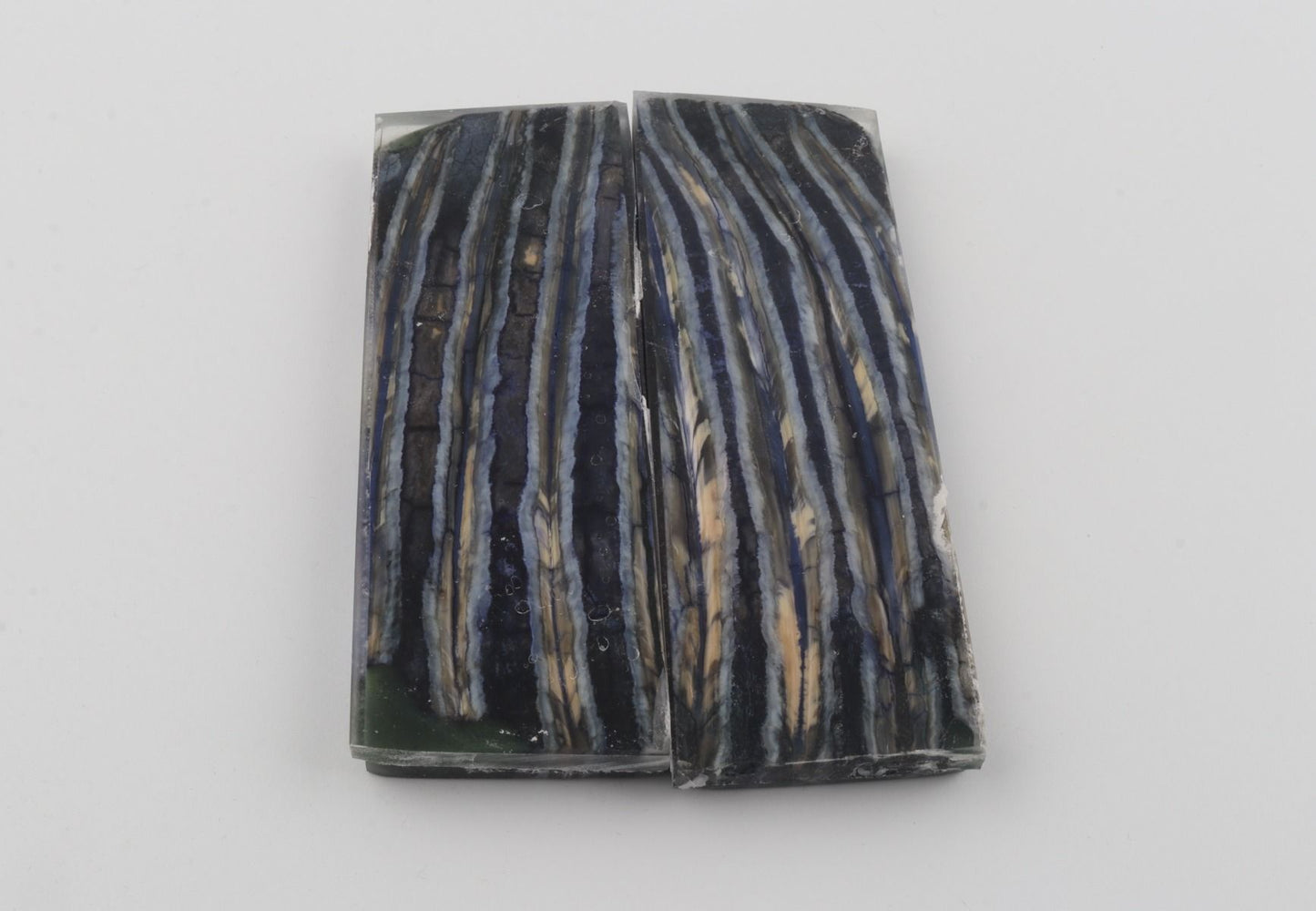 Stabilized mammoth molar scales