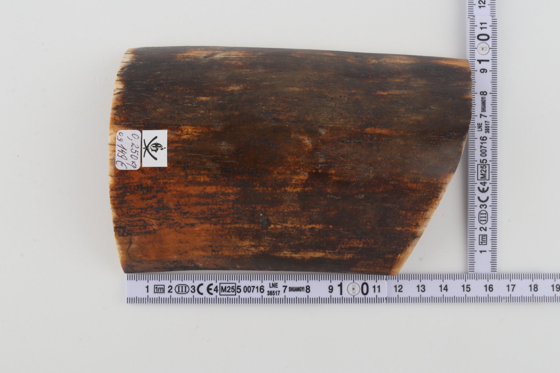 Brown-orange mammoth bark