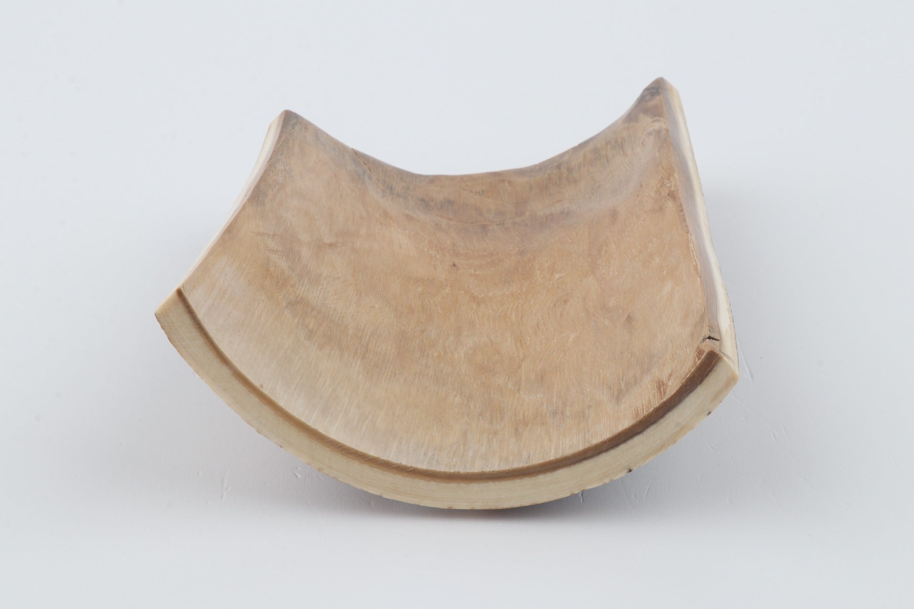 Brown-orange mammoth bark