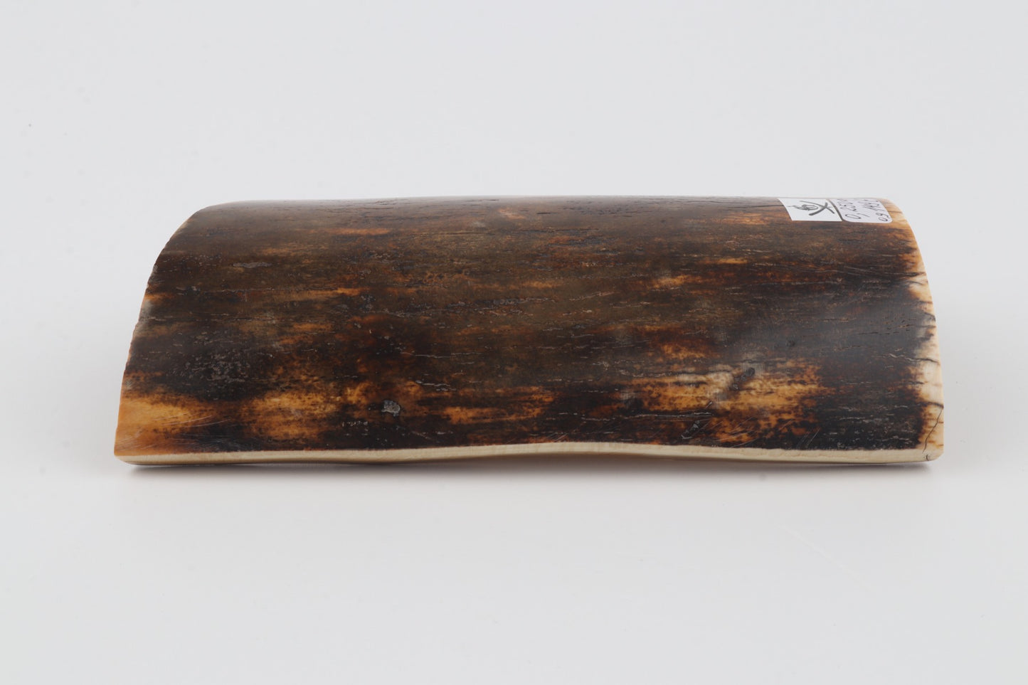 Brown-orange mammoth bark
