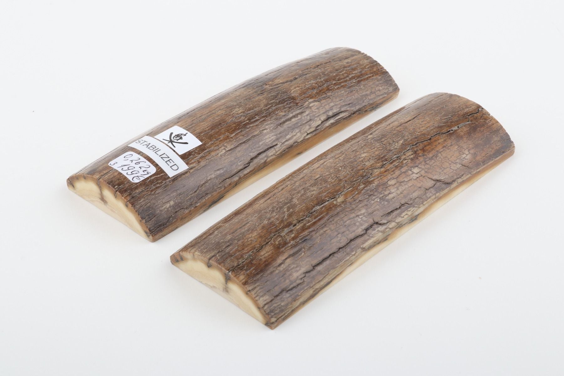 Stabilised mammoth bark scales