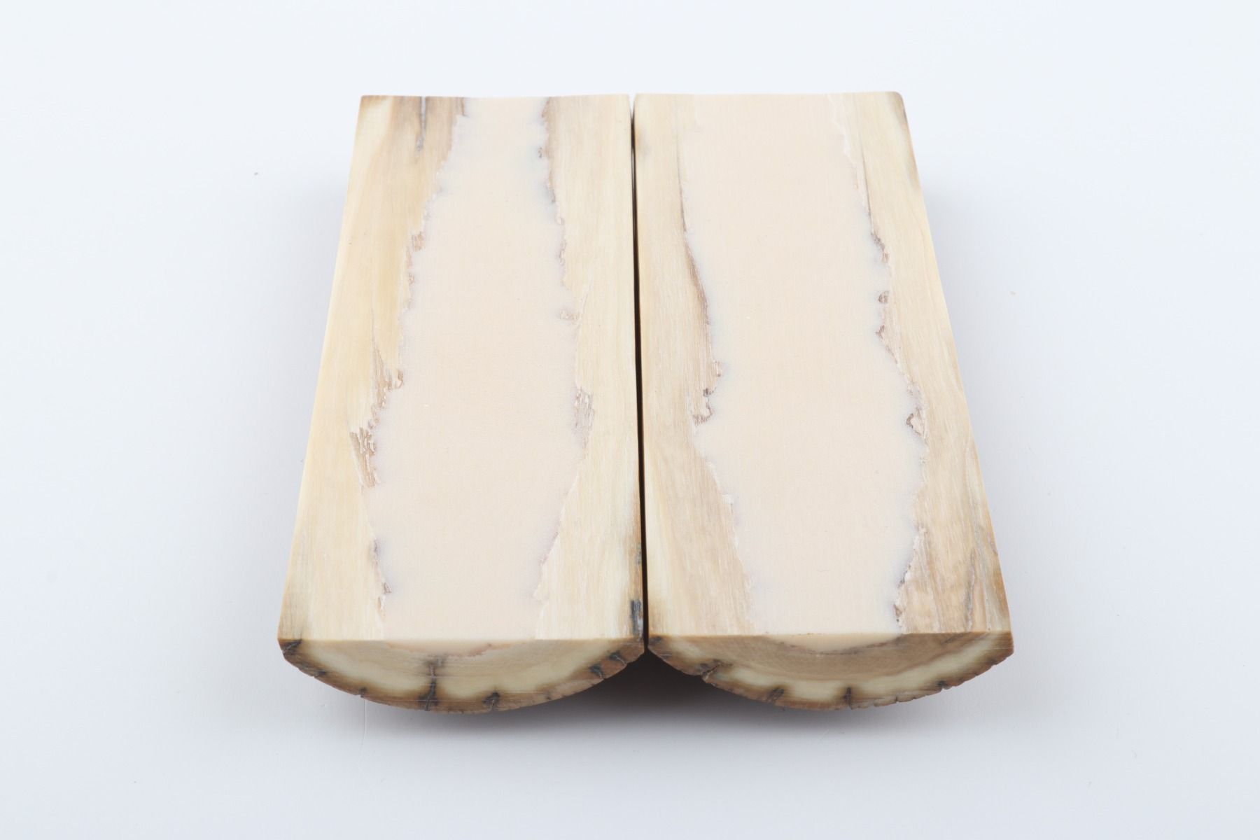 Stabilised mammoth bark scales