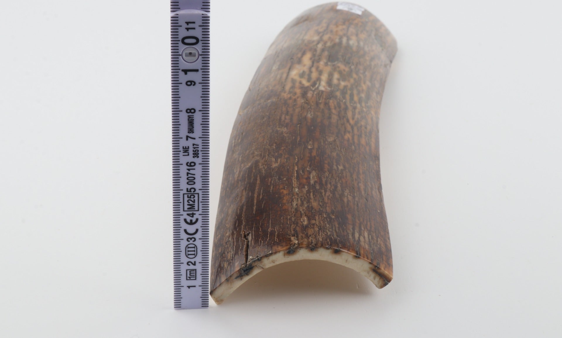 Brown-green mammoth bark